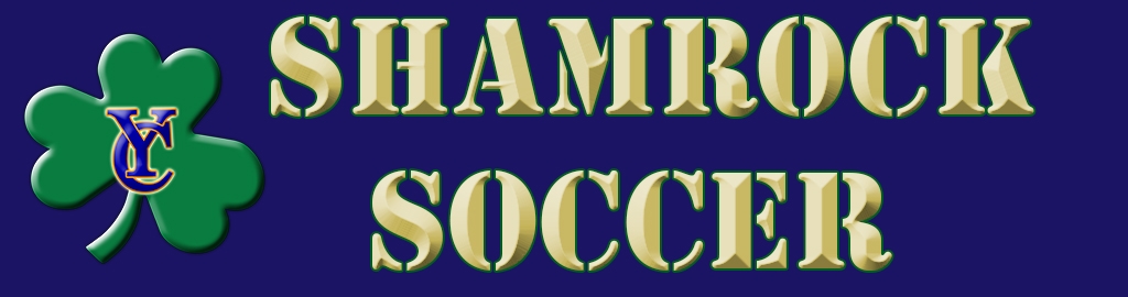 Soccer Banner