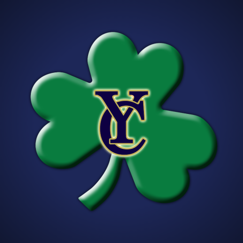 Ballfrog - YC Shamrocks